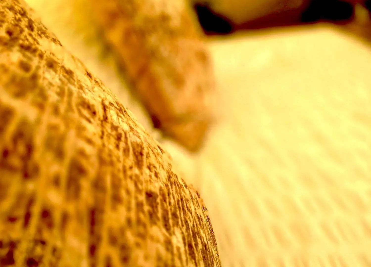 Bell Tent Village Parks نوتينغهام